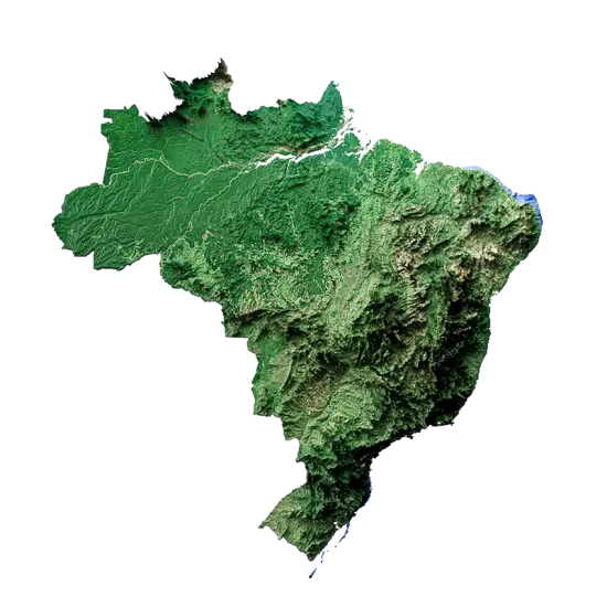 Brasil Endless